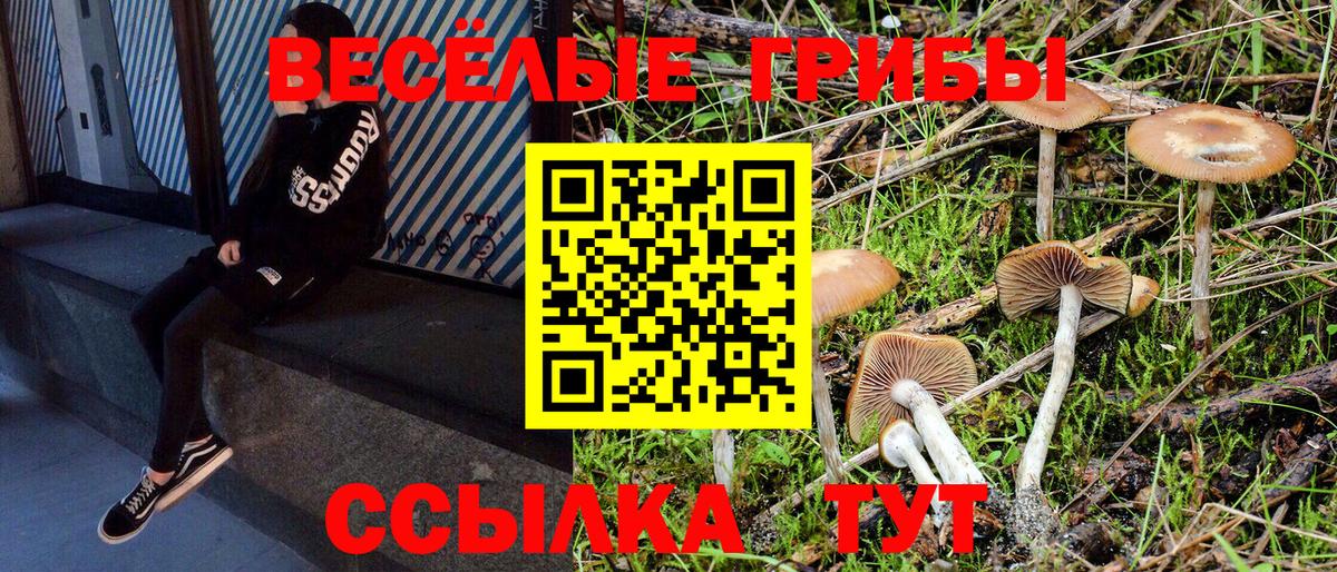 Псилоцибиновые грибы прущие грибы  Вход с VPN  Муром  Псилоцибиновые грибы ЛСД 