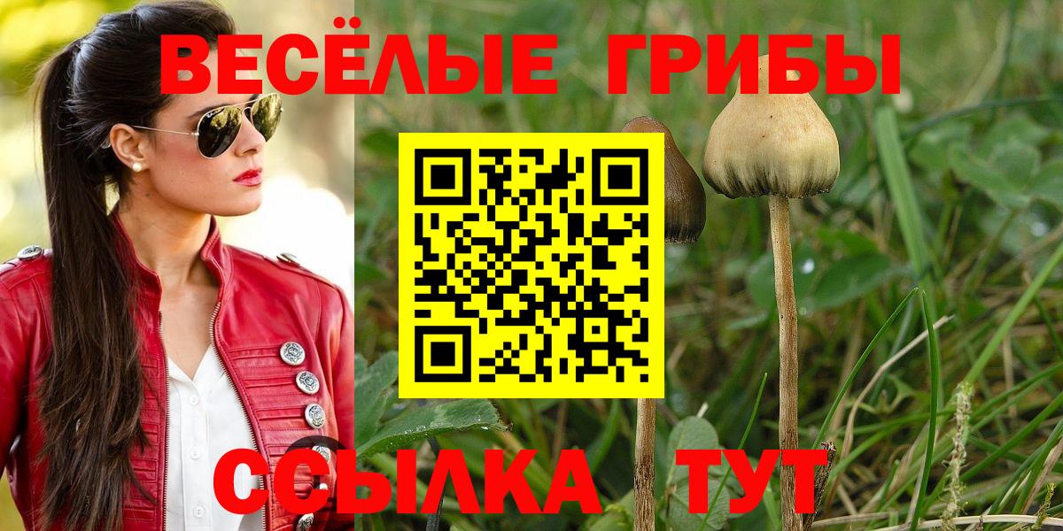 Псилоцибиновые грибы GOLDEN TEACHER Муром
